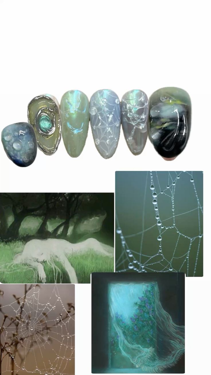 misty woods